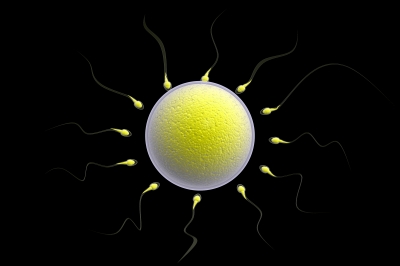 In vitro fertalisation (IVF) 