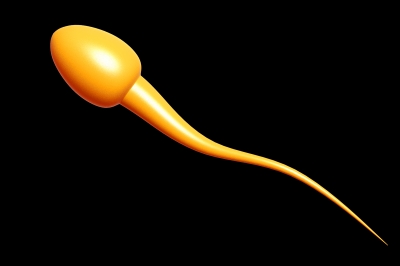 A yellow sperm