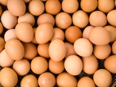 Egg quality