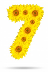 seven in flowers