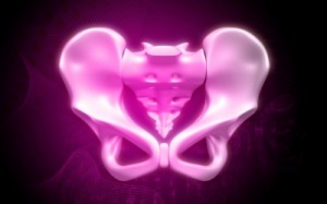 pink image of a human pelvis