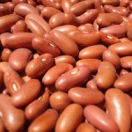 red beans: a meat substitute for your pregnancy food aversion