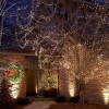 Ideas for your home this holiday season